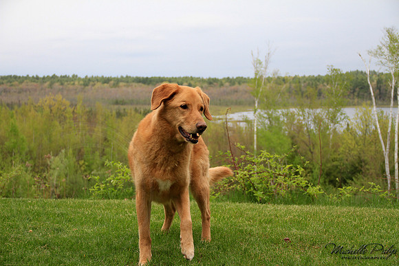9209-Palys-photo66.com