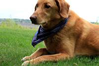 9002-Palys-photo66.com
