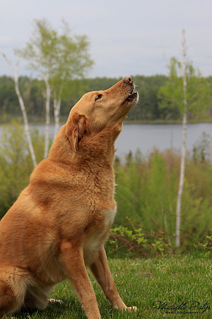 9153-Palys-photo66.com