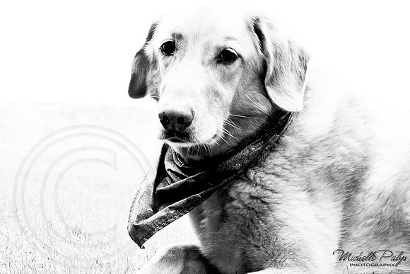 9001-Palys-photo66.com