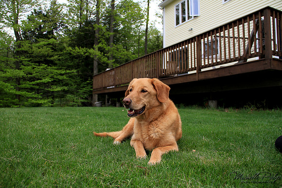 9255-Palys-photo66.com