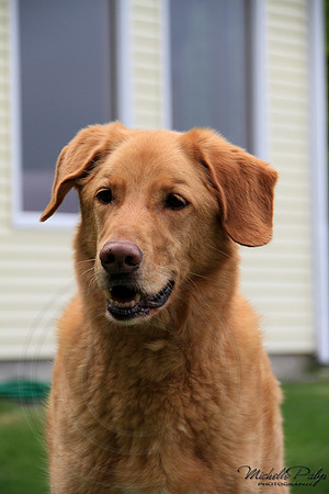 9142-Palys-photo66.com