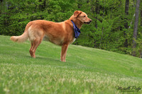 9054-Palys-photo66.com