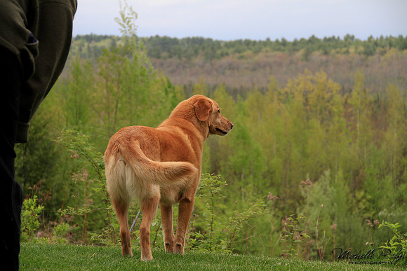 9198-Palys-photo66.com