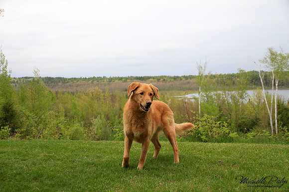 9208-Palys-photo66.com