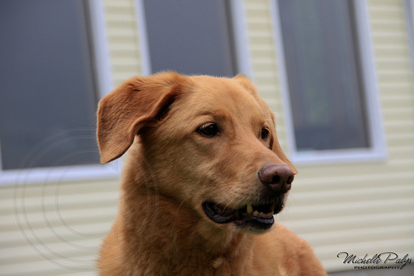 9138-Palys-photo66.com