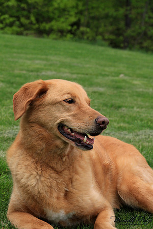 9304-Palys-photo66.com
