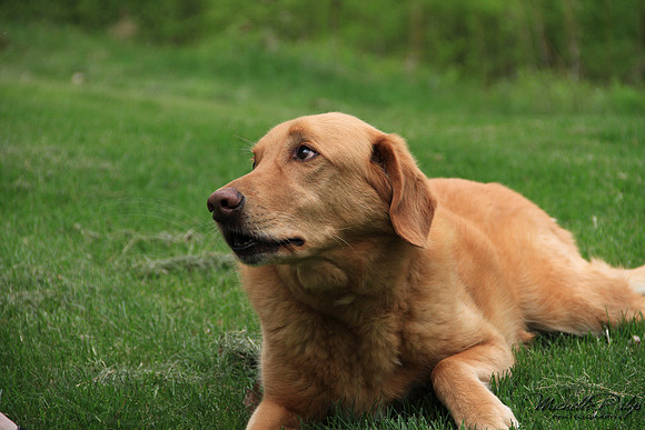 9173-Palys-photo66.com