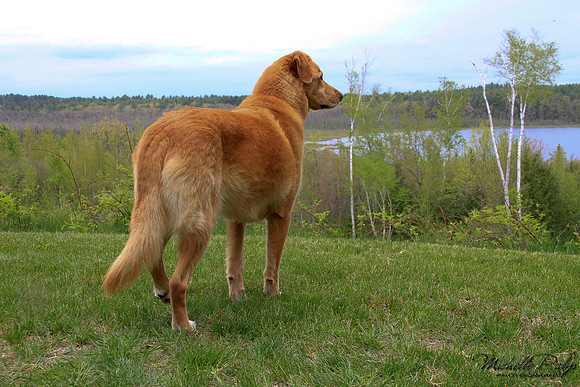 9109-Palys-photo66.com