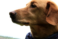 9029-Palys-photo66.com