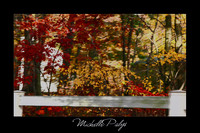 Autumn Blur