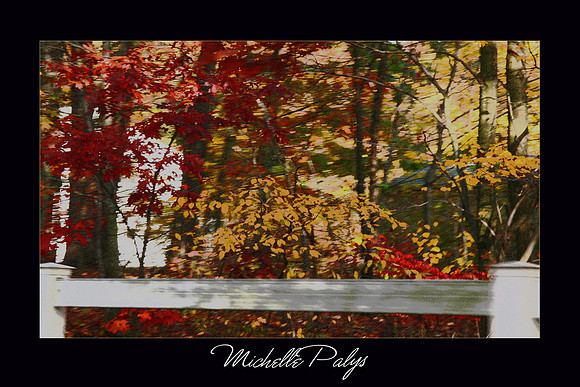 Autumn Blur