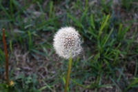 IMG_3234v2