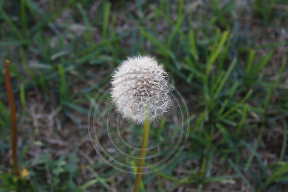 IMG_3234v2