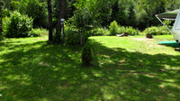 RIVER SITES R6a & R6b - IMG_0030