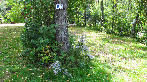 IMG_0152-r11