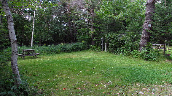 Site #7 (water/sewer/electric 30amp) - IMG_0051