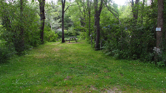 RIVER SITE R10 - IMG_0038