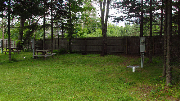 IMG_0080-site40