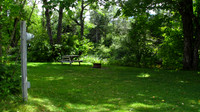 RIVER SITE R1 -IMG_0022