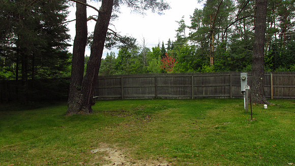IMG_0081-site38