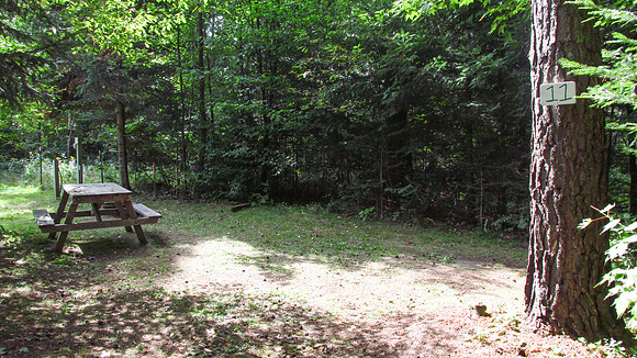 IMG_0174-site11