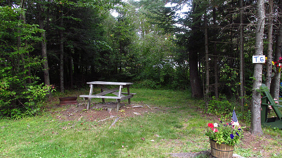 Tent Site T6 (no hookups) - IMG_0048-t6
