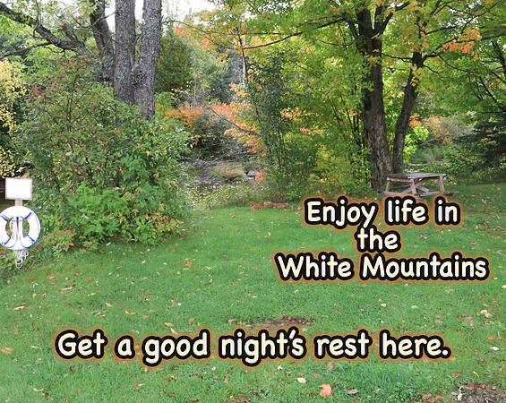 whitemtnattractions_cabin