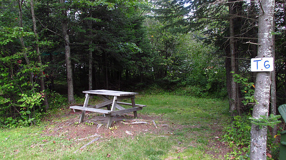 Tent Site T6 (no hookups) IMG_0049
