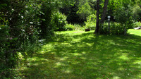 RIVER SITE R6a -IMG_0027