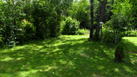 RIVER SITE R6a- IMG_0028