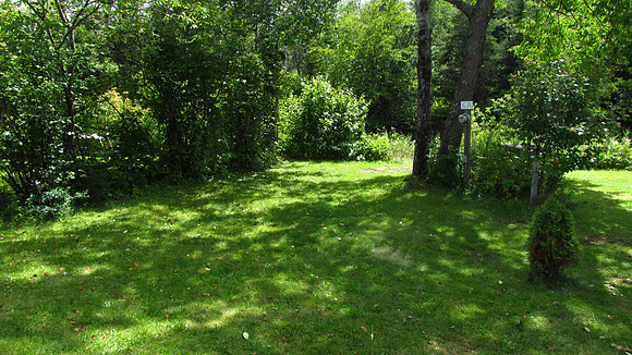 RIVER SITE R6a- IMG_0028