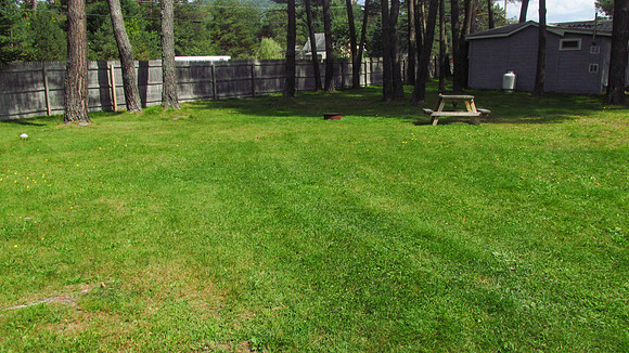 IMG_0203-site36-34