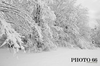 IMG_0729-Photo66