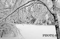 IMG_0685-Photo66
