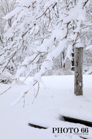 IMG_0721-Photo66