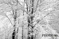 IMG_0728-Photo66