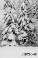 IMG_0746-Photo66