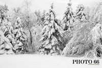 IMG_0689-Photo66