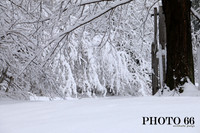 IMG_0628-Photo66