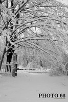 IMG_0759-Photo66