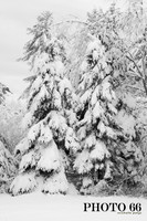 IMG_0738-Photo66