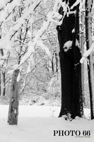 IMG_0734-Photo66