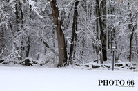 IMG_0708-Photo66