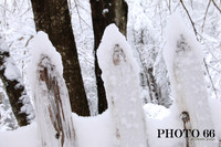 IMG_0669-Photo66