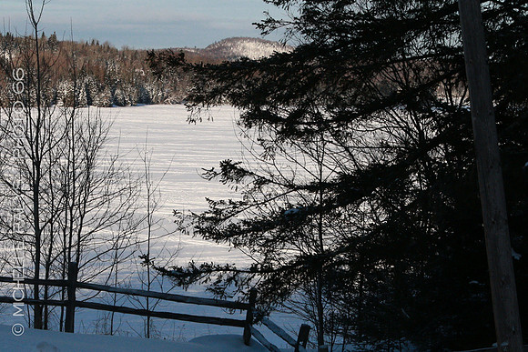 4982-Photo66