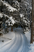 4951-Photo66