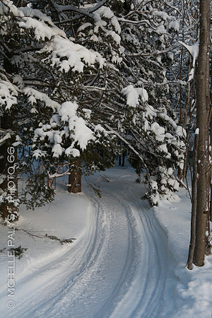 4951-Photo66