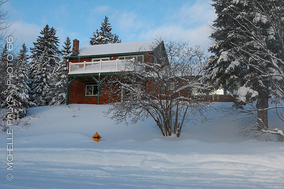 4948-Photo66