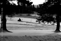 4957-Photo66-2